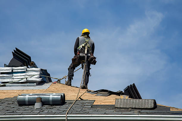 Professional Roof Installation technician working in Williamson, IA